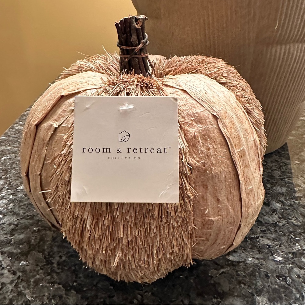 Fall Wicker Pumpkin Rattan Decor ROOM & RETREAT NWT New